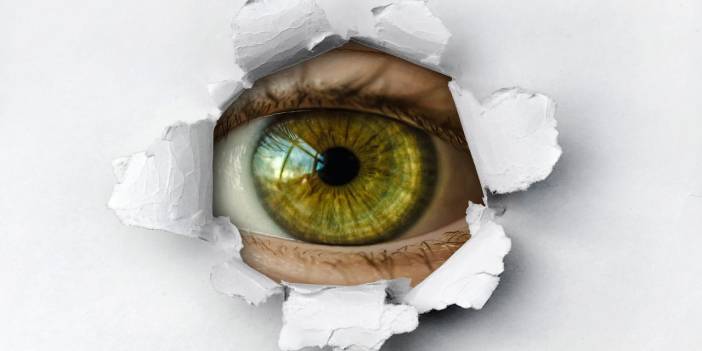 Yunanistan'da casus yazılım skandalı: İstihbarat başkanı itiraf etti