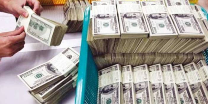 Merkez Bankası brüt rezervleri iki haftada 12,5 milyar dolar arttı