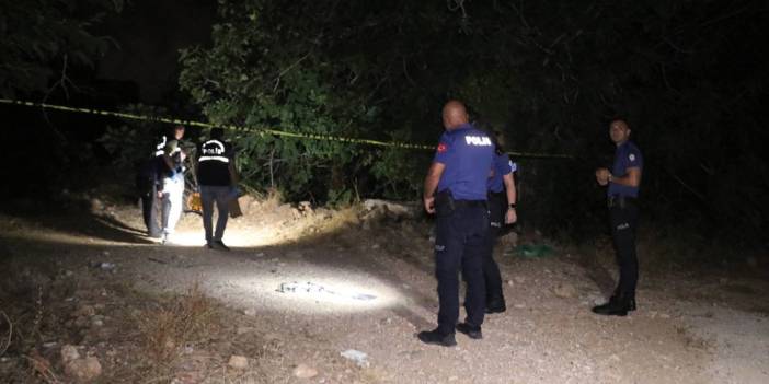 Antalya'da neler oluyor? 9 köpek daha ölü bulundu, 25 köpek kayıp