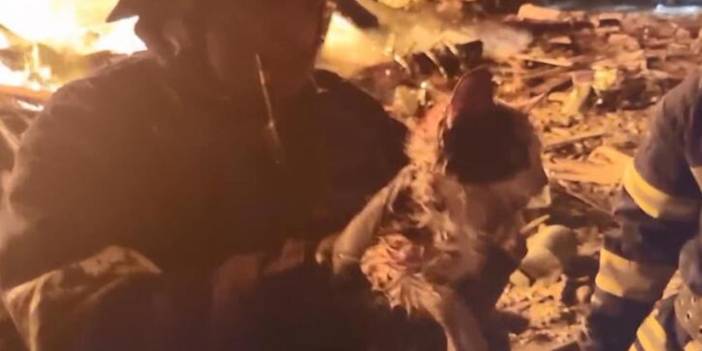 Ukrayna’da füzenin isabet ettiği restorandan bir kedi kurtarıldı