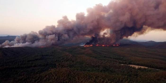 Manisa'da orman yangını!