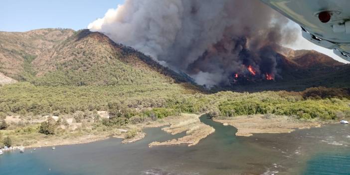Marmaris’te orman yangını