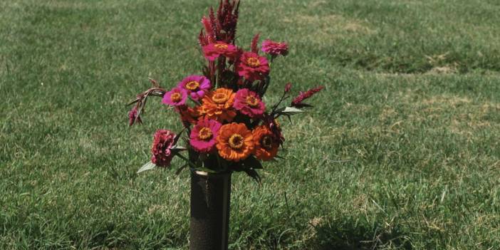 Kaliforniya 'insan gübreleştirmeyi' yasallaştırdı