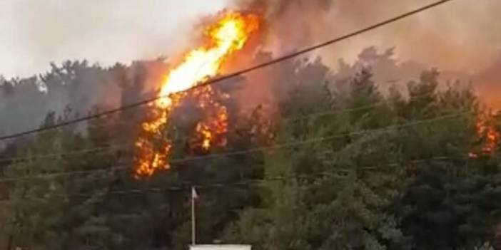 Muğla'da çıkan orman yangını büyümeden söndürüldü