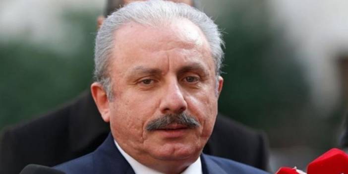 Mustafa Şentop: Başörtüsünü kanuna bağlarsanız, bizi tuzağa düşürebilir