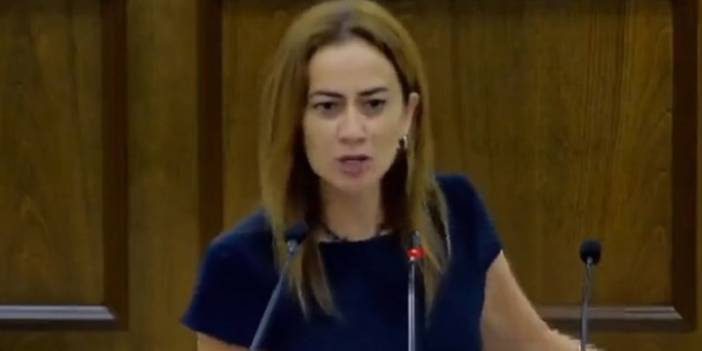 Kıbrıslı vekil Derya’dan Erdoğan eleştirisi: Birilerini öteki ilan etmeli ki kendi seçmenini konsolide edebilsin