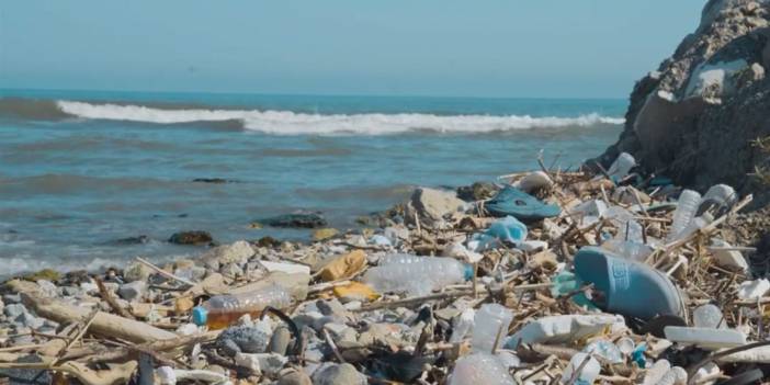 Türkiye denizlerinde ilk kez: 2 milimetreden küçük deniz canlısından da mikroplastik çıktı