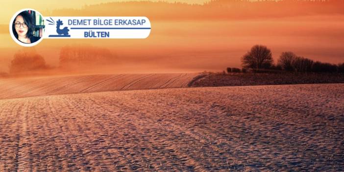 Bunun adı kuraklık: Tarlalar boş kaldı