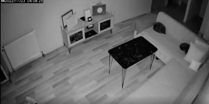 Düzce depremi kameralara böyle yansıdı