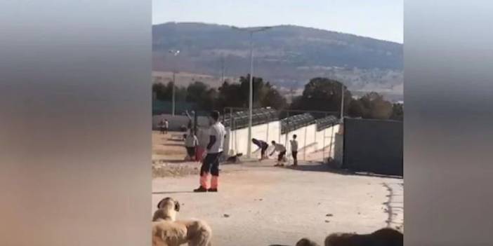 Konya’da barınakta köpeği katleden kişilerin ifadeleri ortaya çıktı