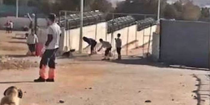 Konya'da köpeğin kürekle öldürülmesinde sanıklar tahliye edildi
