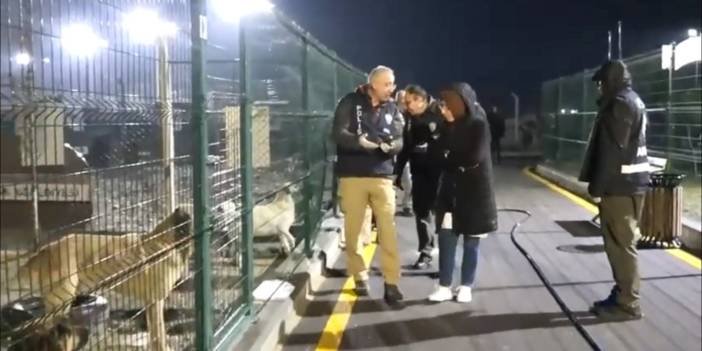 Mamak'ta barınak önünde eylem: Hayvanlar kan içinde, eziyet edilmiş