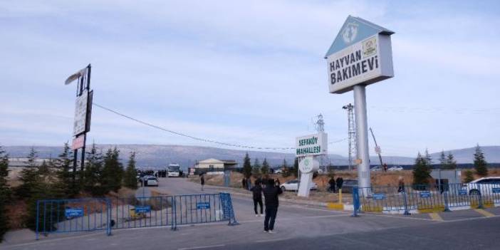 O barınakta hayvan sahiplendirme başladı