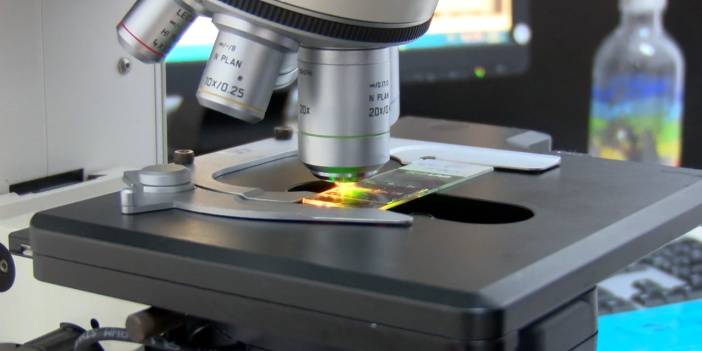 Kirlilik dünyayı sardı! Mikroplastik atıklar Antarktika'ya kadar ulaştı