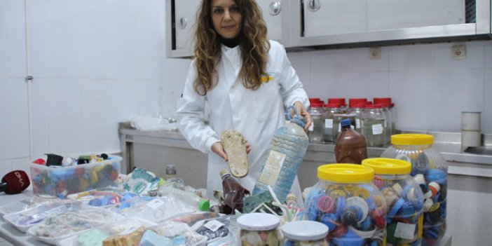 Karadeniz alarm veriyor: Hamsi, barbun, palamut, istavrit, mezgitte mikroplastik tespit edildi