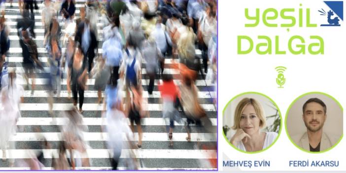 Yeşil Dalga: Dünya nüfusu 8 milyarı geçti, şimdi ne olacak?