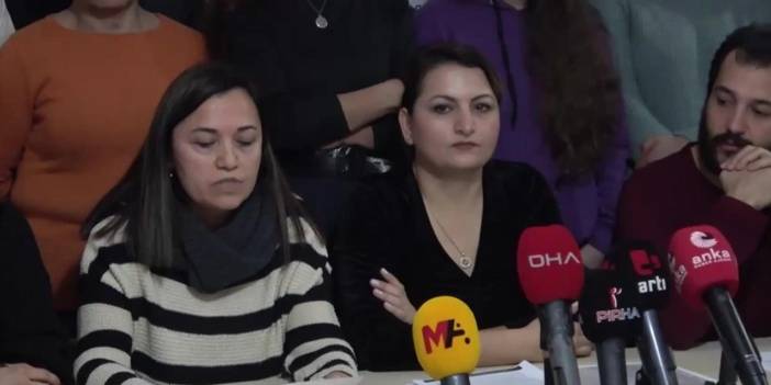 Sibel Tekin'in avukatından 'Gezi belgeleri' vurgusu