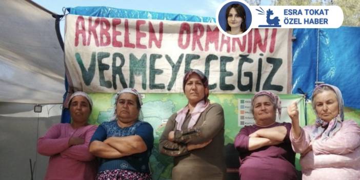 Akbelen Ormanı davasında mahkeme İkizköylülerin itirazını reddetti