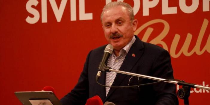 Şentop'tan Prens Harry'e: Avrupalı beyaz çocuk, ne arıyorsun sen Afganistan'da?