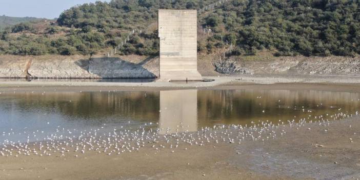 İstanbul'da su sorunu: Halk sağlığı tehdit altında