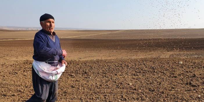 Küresel ısınma: Kuraklık gıda fiyatlarını artıracak