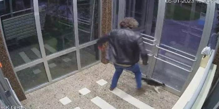 Kedi düşmanının ifadesi ortaya çıktı: İntikam almış!