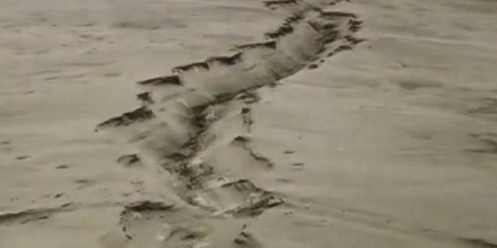 Türkiye'de fay hattı üzerinde yer alan 24 şehir var: ''Binaların fay hattına uzaklığı bildirilmeli...'