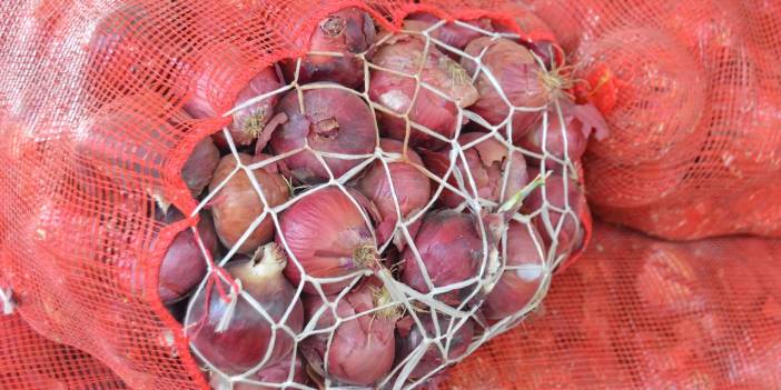 Adana'da soğan hasadı başladı; fiyatların düşmesi bekleniyor