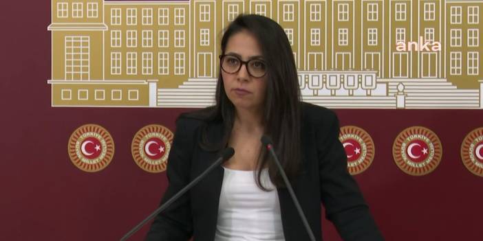 TİP’li Kadıgil: 10 yıldır seçim sistemi çalışıyorum. İstanbul'un tamamında vekil çıkartacağız