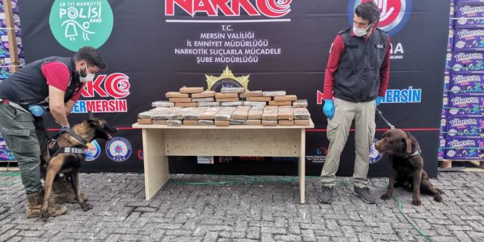Mersin Limanı'nda, konteynerde 97,5 kilo kokain ele geçirildi