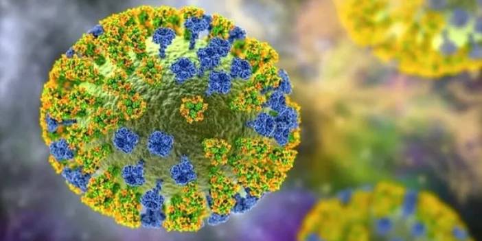 Meksika'dan DSÖ'ye kuş gribi itirazı: Ölüm olmadı