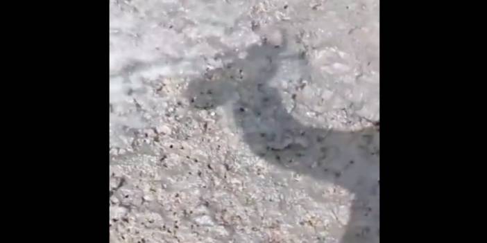 Prof. Dr. Ramazan Demirtaş, Erciyes'teki sıcak su çıkışını yorumladı