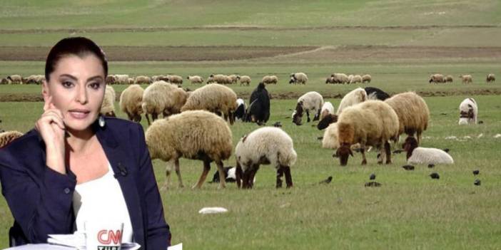 Hande Fırat'tan Bill Gates'li açıklama: Kimse benim üzerimden iktidarı vurmaya kalkmasın