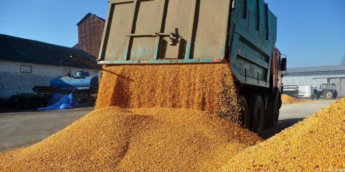 Tahıl koridoru anlaşması iki ay uzatıldı