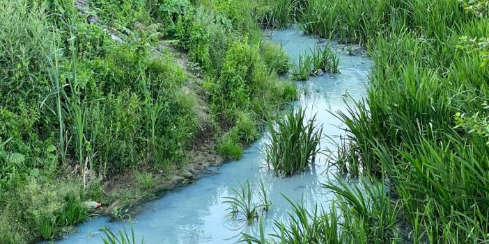 Arnavutköy'de derenin rengi maviye döndü, mahalleli tedirgin oldu