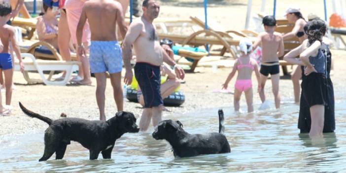 Ege sıcaktan kavruluyor; termometreler 40-43 dereceleri gösterdi: Uzmanından yeme-içme ve giyinme önerisi