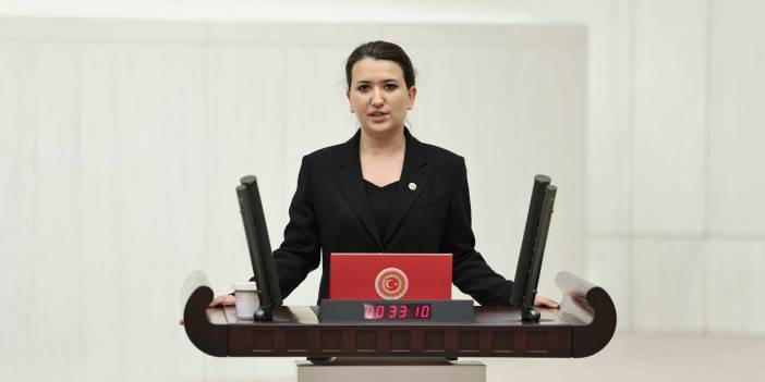 CHP Milletvekili Gökçen: 'Koruma kararı uygulanmış olsaydı Ezgi Zerkin öldürülmeyecekti'