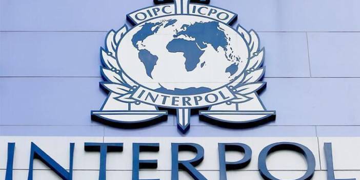 'Kırmızı bülten'le aranan Sırp çete lideri İstanbul'da yakalandı