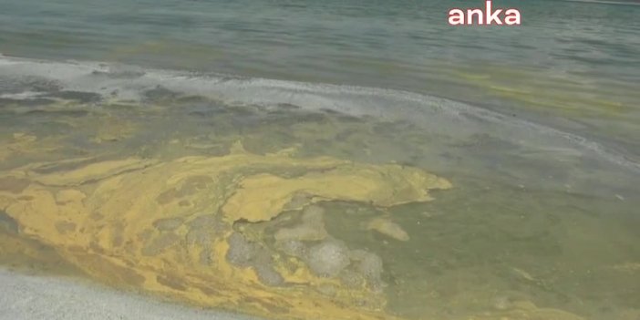 Burdur İl Çevre Müdürü'nden Salda Gölü açıklaması: "Mükemmel, içilebilir kalitede"