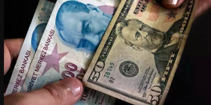 1 Amerikan Doları 31 Türk Lirası oldu