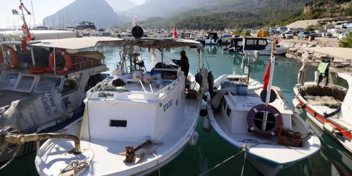 Akdeniz temiz gibi görünmüyor ama balıklar için oldukça kötü: Ağlar bomboş