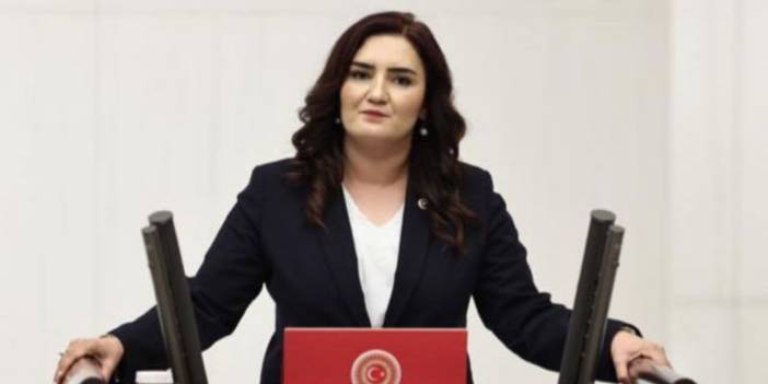 CHP'li Kılıç'tan Epstein davasını bakanlıklara sordu: Haberiniz var mı?