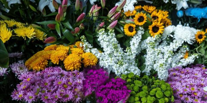 Çiçeklere 14 Şubat tarifesi: Bir gülün fiyatı 150 lira