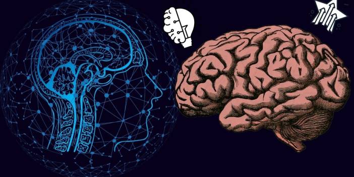 Beyni geliştiren ve hafızayı güçlendiren 11 besin! Hafızaya direkt etki ediyorlar