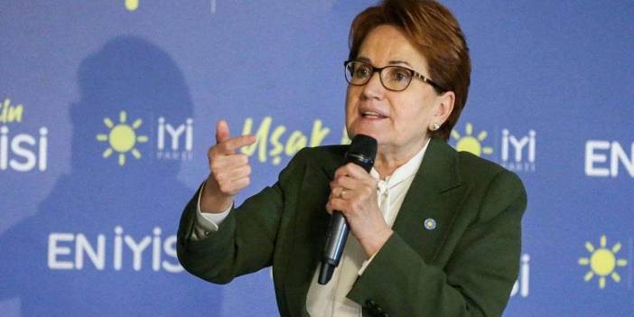 Akşener'den Elif Çakır'ın 'yanlışlıkla' gözaltına alınmasına tepki