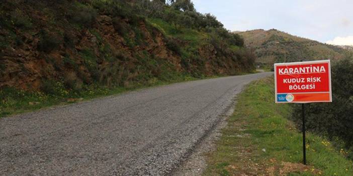 Hatay Valiliği: Defne'de iki mahallede kuduz vakası görüldü