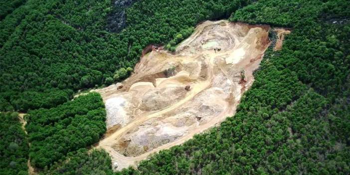 Kuzey Ormanları'ndaki maden sahası şirkete yetmedi, genişletmek için başvuruda bulundu
