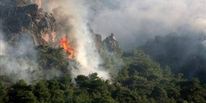 Bergama'da orman yangını çıktı