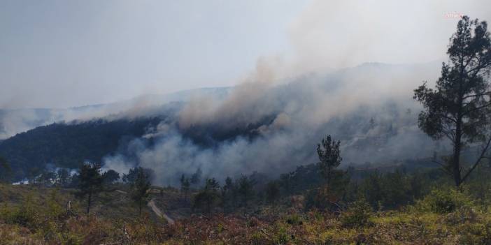 Bornova'daki yangın Manisa’ya ilerliyor: Gökçeler Köyü boşaltıldı