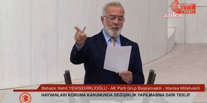 AKP'li Yenişehirlioğlu'ndan muhalefet sıralarına: Sahipsiz köpekler